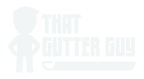 That Gutter Guy