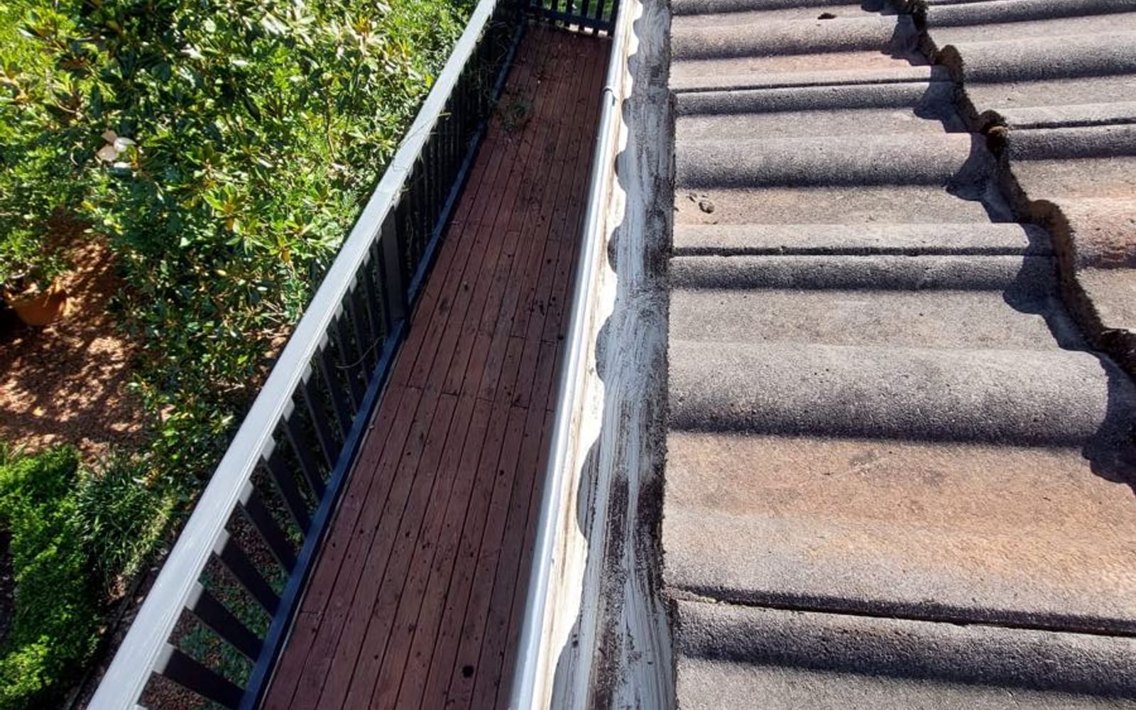 A residential gutter packed with gum leaves and debris before cleaning
