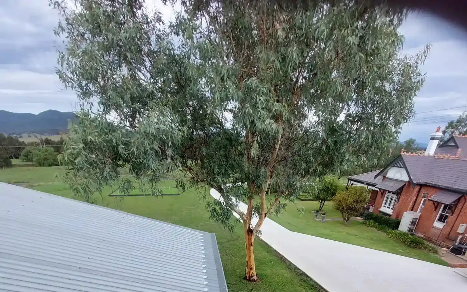 That Gutter Guy clearing a blocked residential gutter in the Hunter Valley